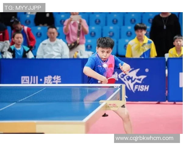 成都乒乓球队的团队协作之道揭秘与巨献乒乓球的魅力与精神