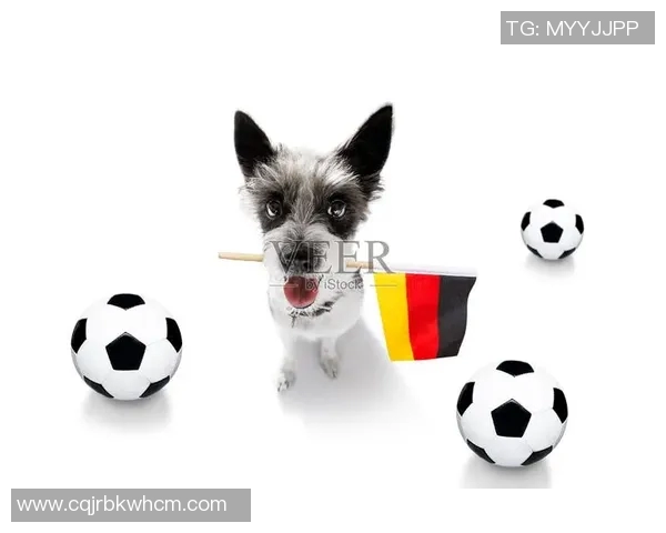 足球明星们的宠物选择揭秘:他们更爱狗还是猫的背后故事 足球明星们的宠物选择揭秘:他们更爱狗还是猫的背后故事