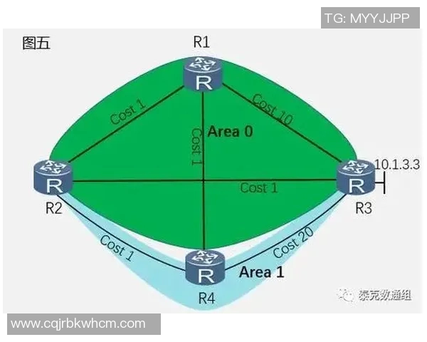 深入探讨杭州篮球队各项技术特点与对手的全面对比分析