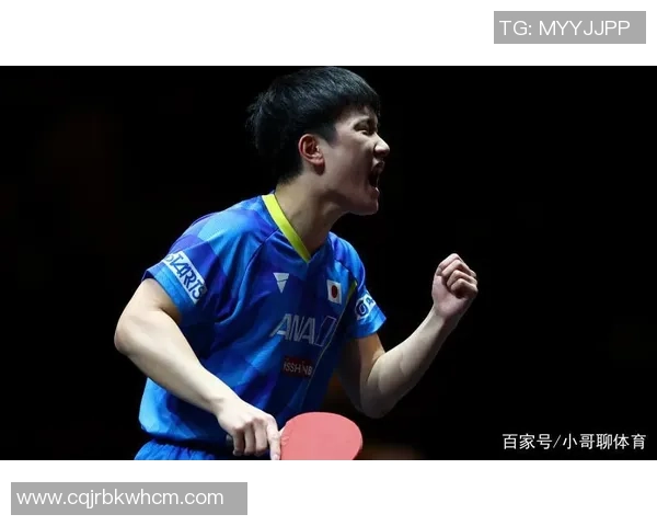 武汉乒乓球队实力深度剖析及各队员表现全面对比分析
